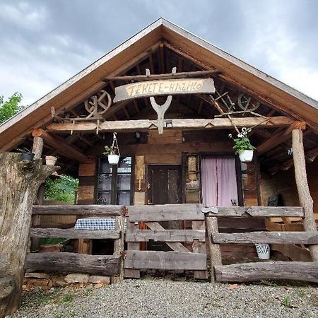 Casa Rustic Feher & Fekete Vendeghazak Sovata Exterior photo